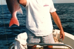 Huge-snapper